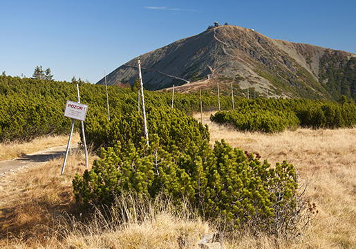 TJECKISK BERGSUTFLYKT